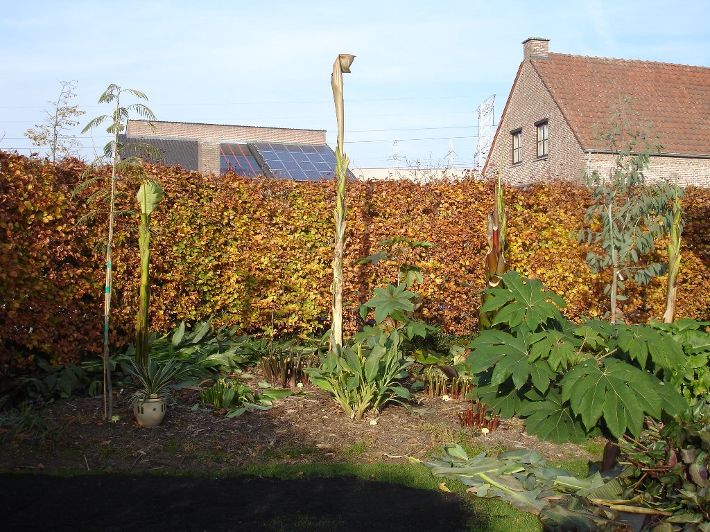 tuin 388_1024x768.jpg