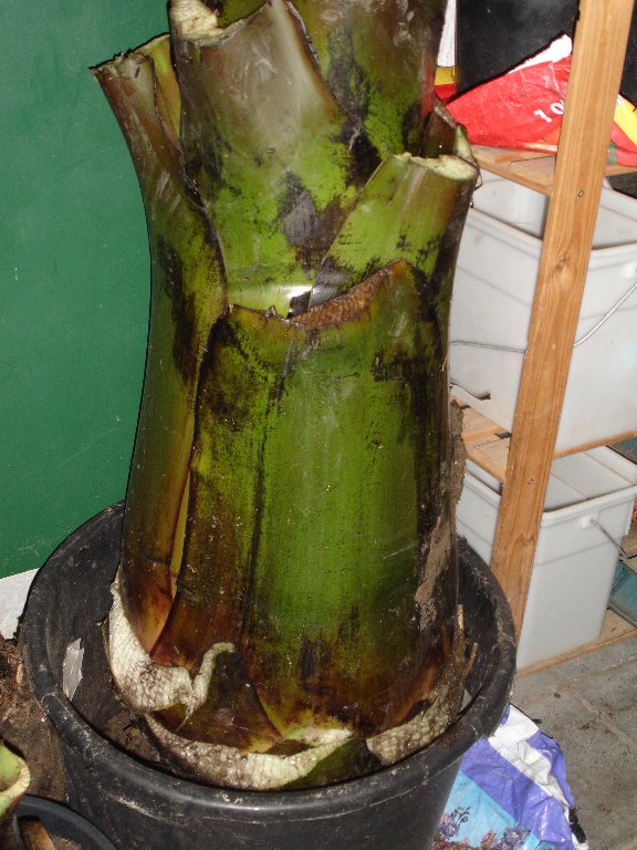 tuin 394_576x768.jpg