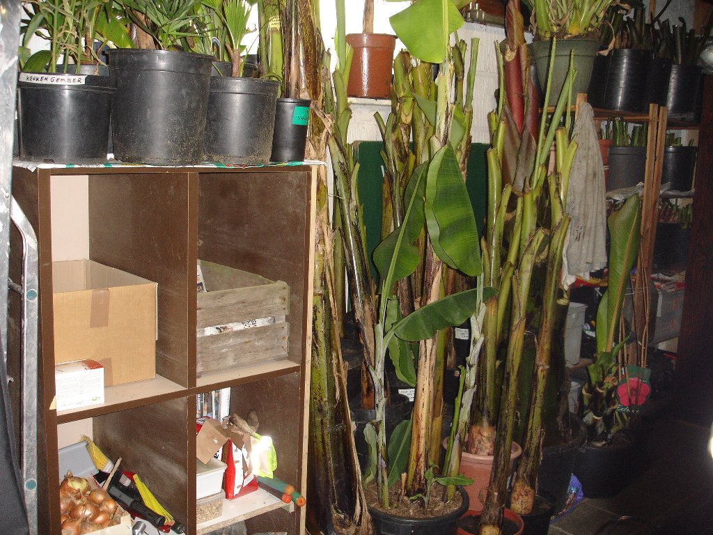 tuin 406_1024x768.jpg