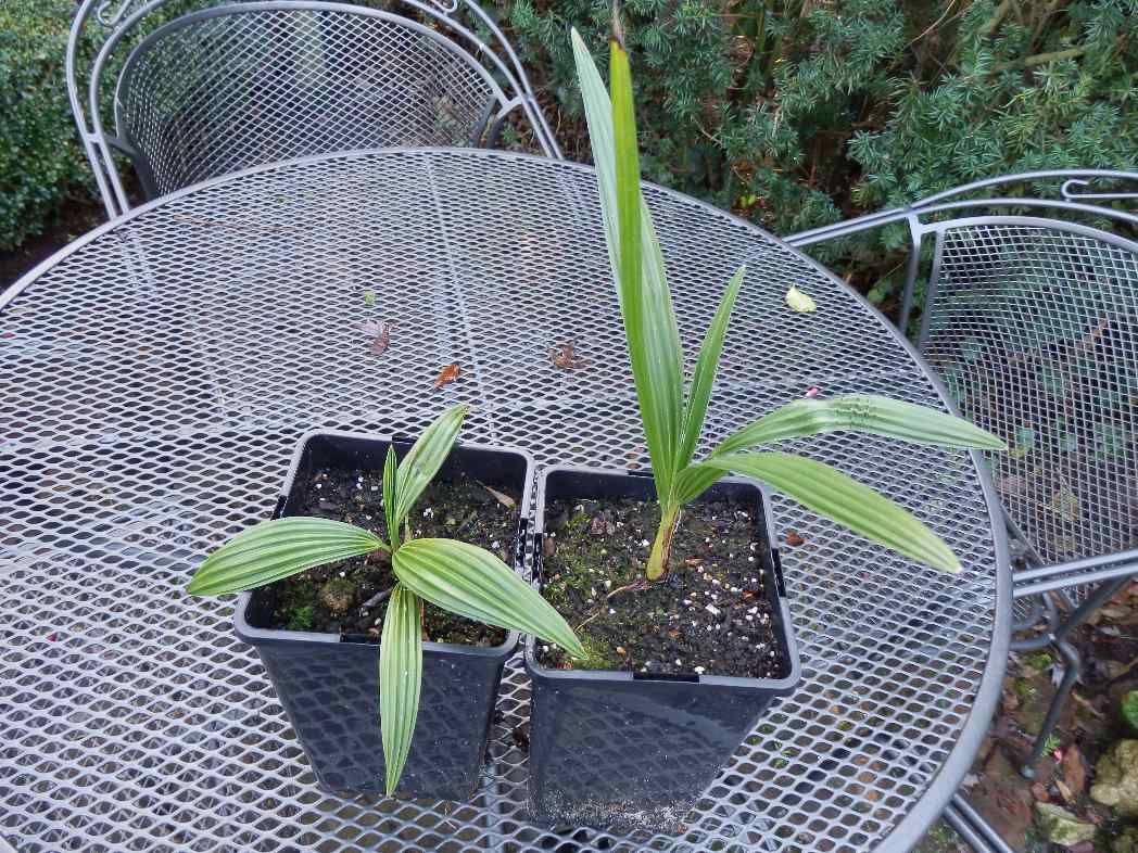 Herschaalde kopie van PC240002.jpg