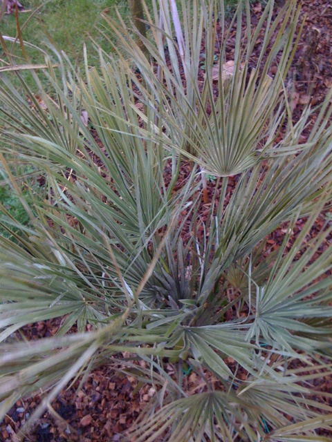 2012foto 1.JPG