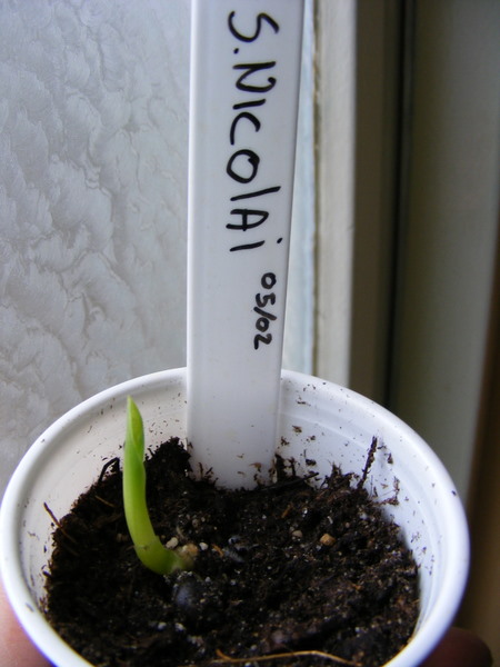 DSCF6021.JPG