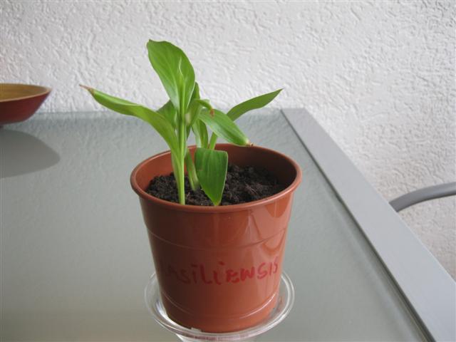 IMG_0932 (Small).jpg