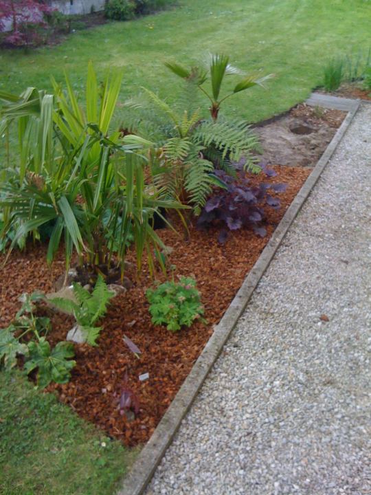 Aanleg border bamboehoek 2012 3.jpg