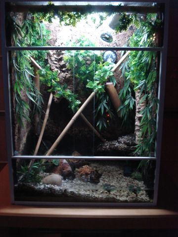 Terrarium.JPG
