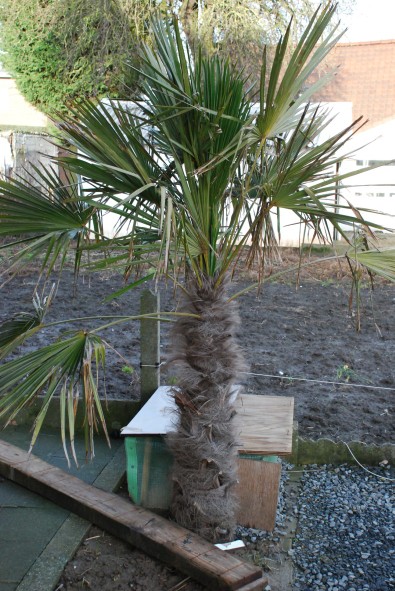 DSC_0172 (395 x 591).jpg