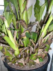 Herschaalde kopie van DSCI0451.jpg