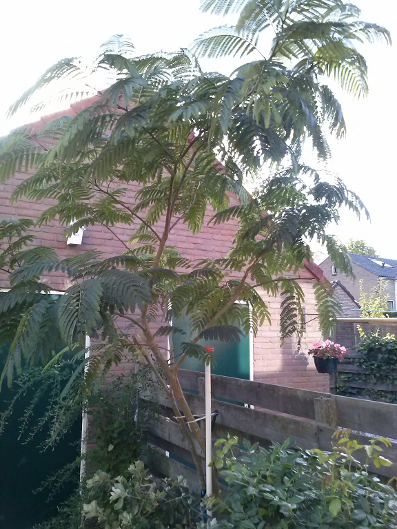CAM00292.2.jpg