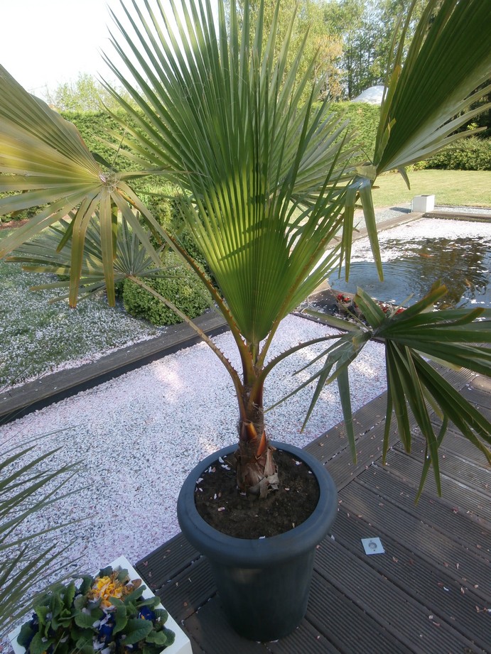 P4130444.JPG