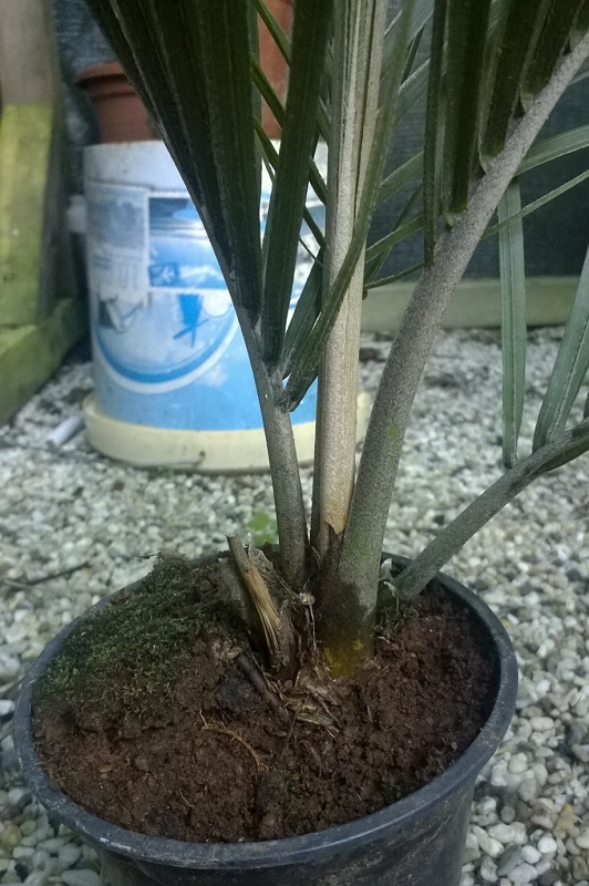 WP_20160702_002.jpg