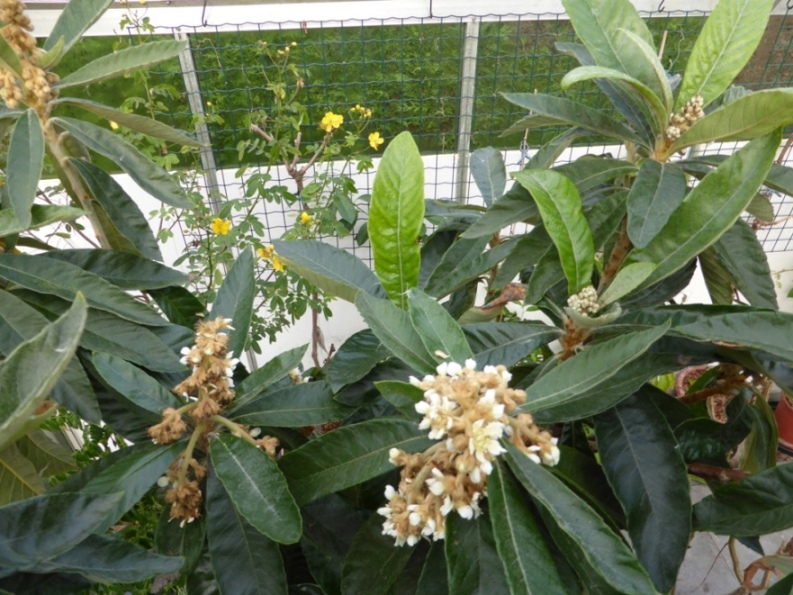 P1010292a.JPG