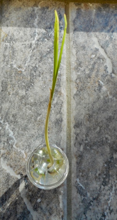 DSCN1108.jpg