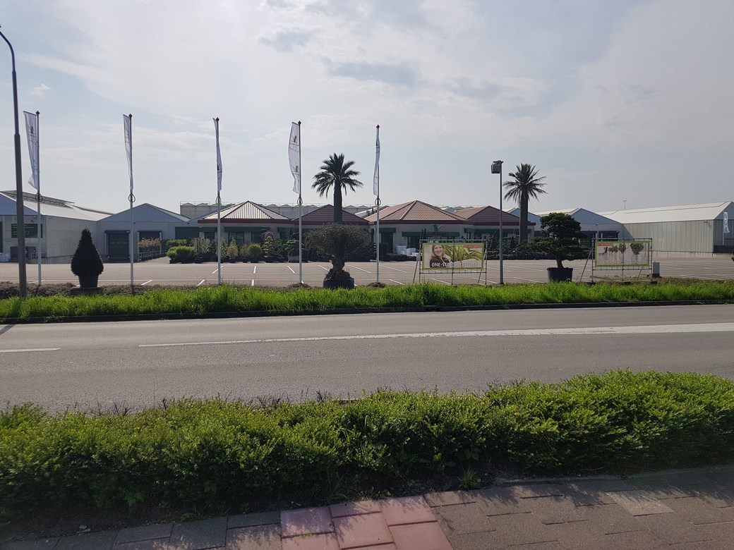 mini-20180422_110537.jpg