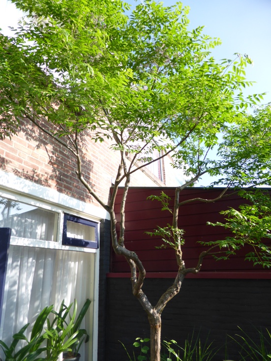 P1010379a.JPG