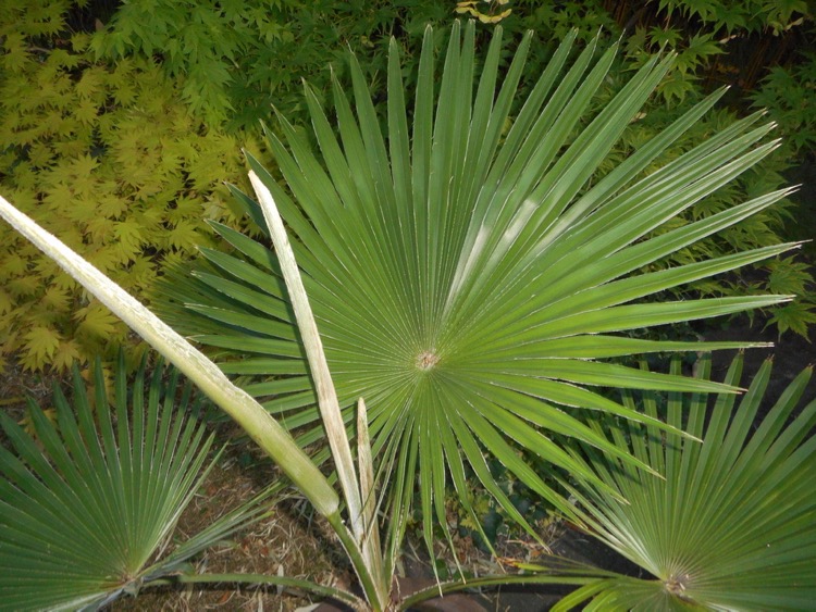 DSCN1834.jpg