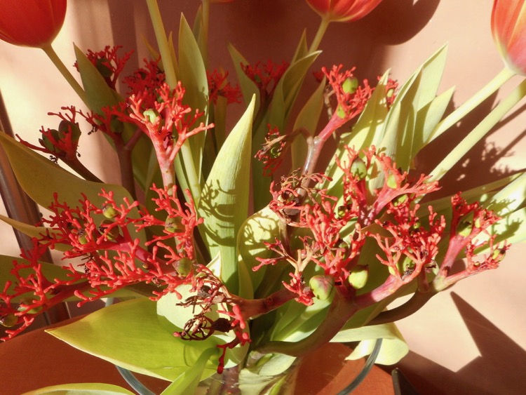 DSCN2791.jpg
