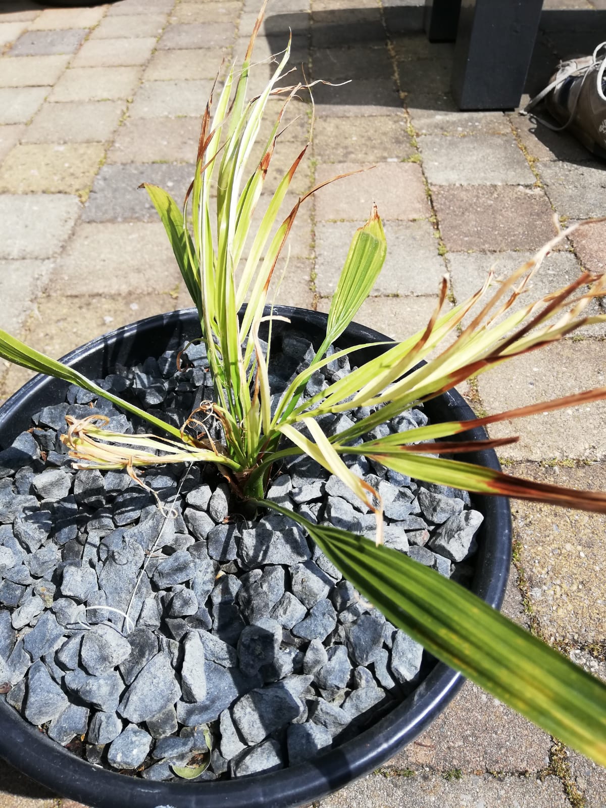 WhatsApp Image 2020-05-17 at 13.56.06 (2).jpeg