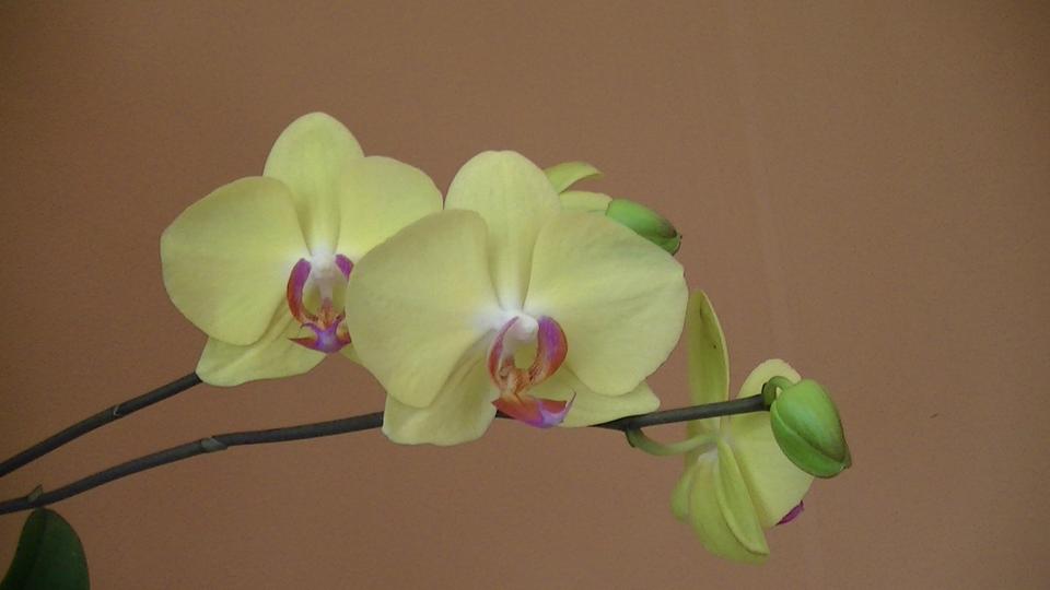 PIC_0433.JPG