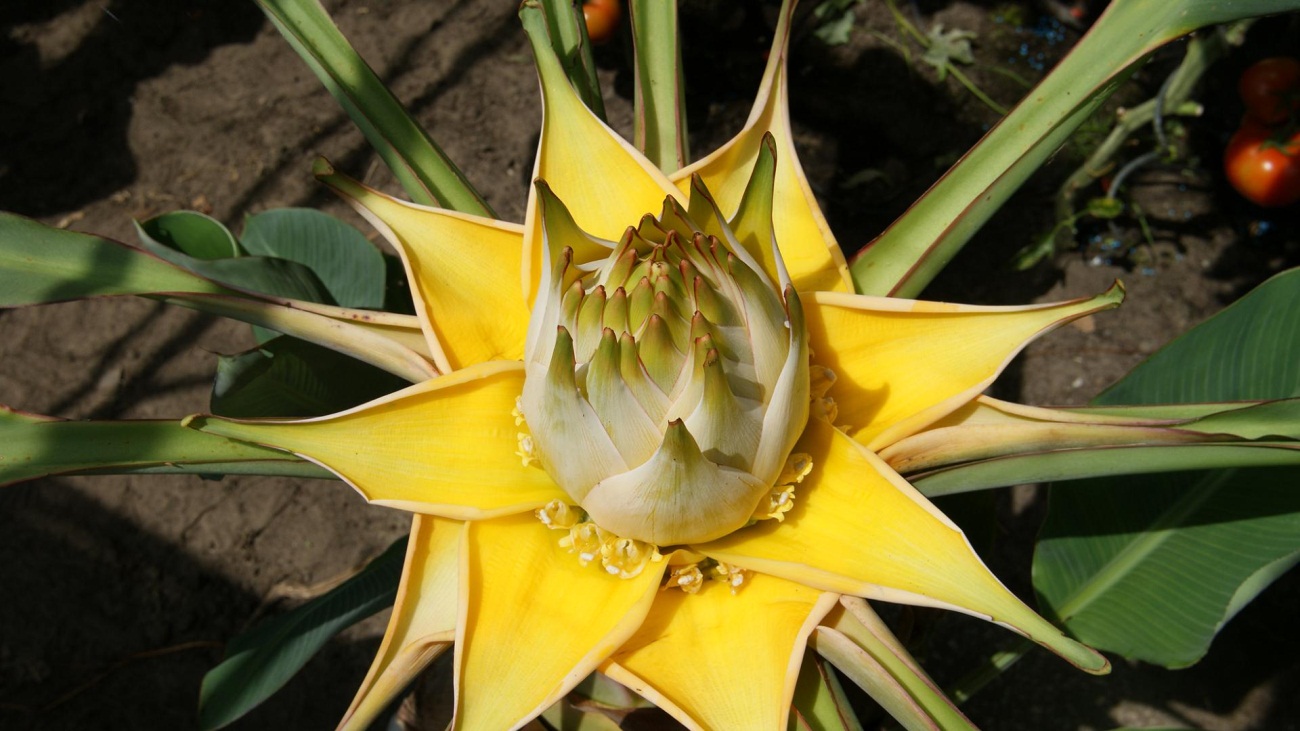 Herschaalde kopie van DSC00163.jpg