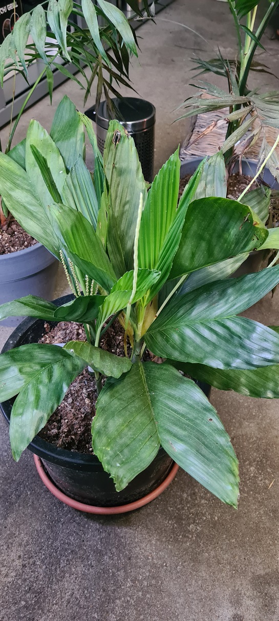 20220124_111705a.jpg