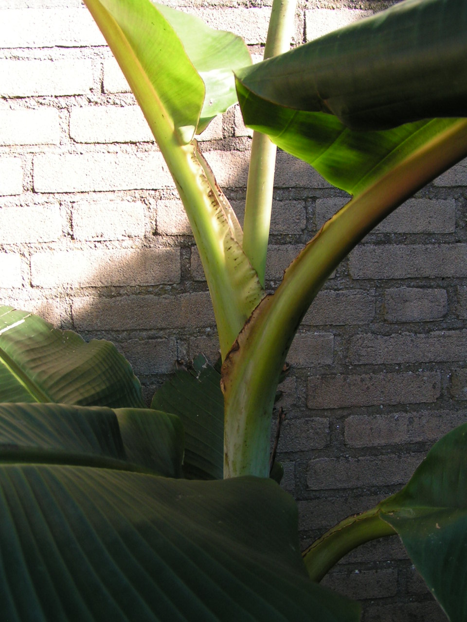 PICT0003.JPG