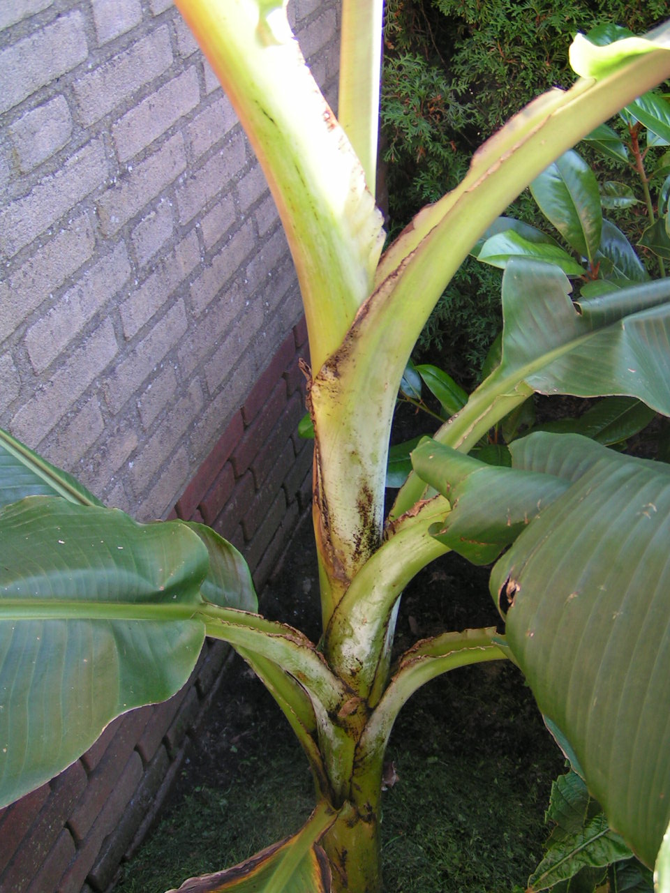 PICT0004.JPG