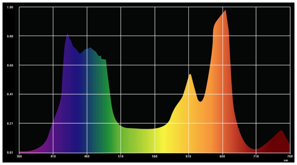 Lichtspectrum voor planten.jpg