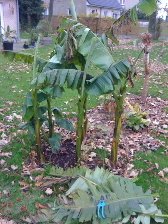 IMG_0047.jpg